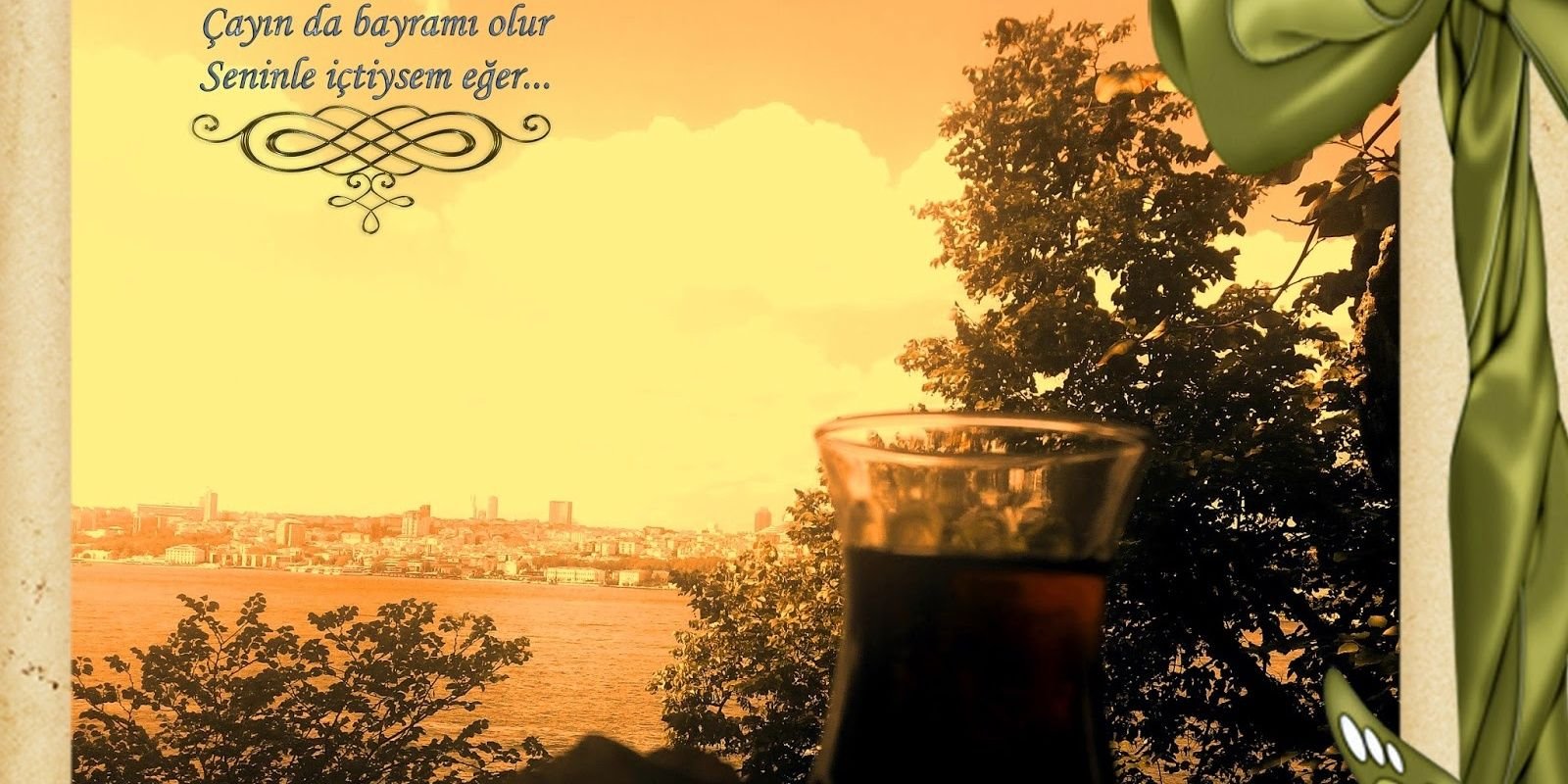 trknbsr's profile banner image