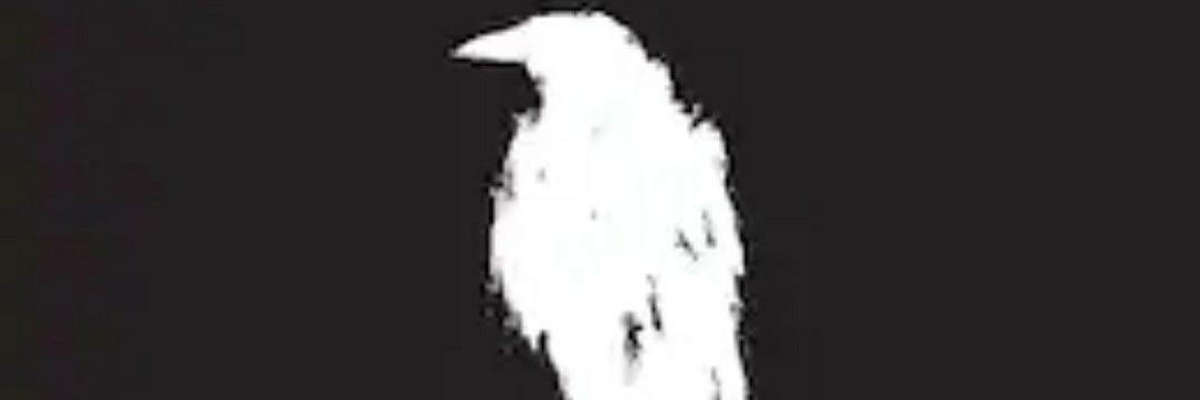 ManuRoldan56's profile banner image