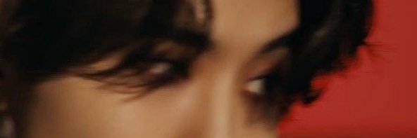 stebnitskaya's profile banner image