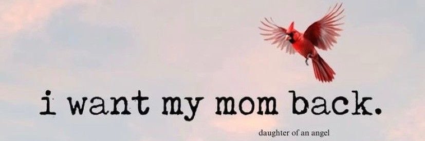 Vero Q🏹🪷 banner