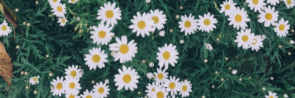 crystalsrt's profile banner image
