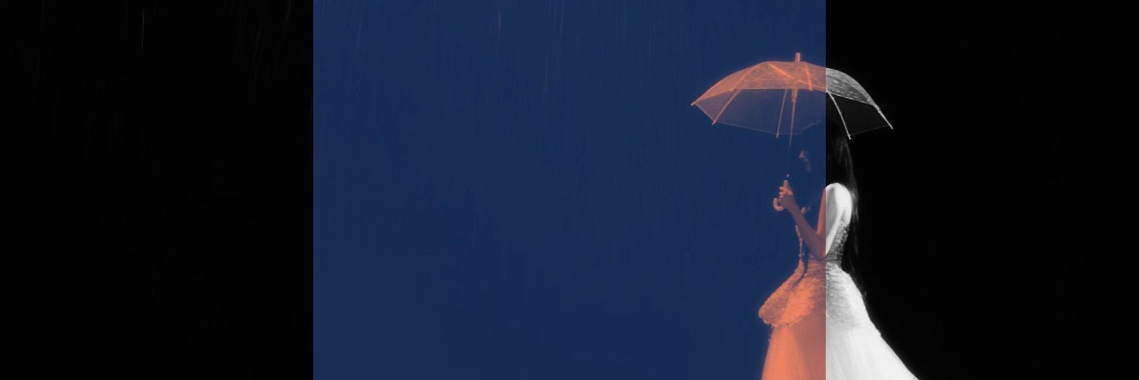 🚢 banner