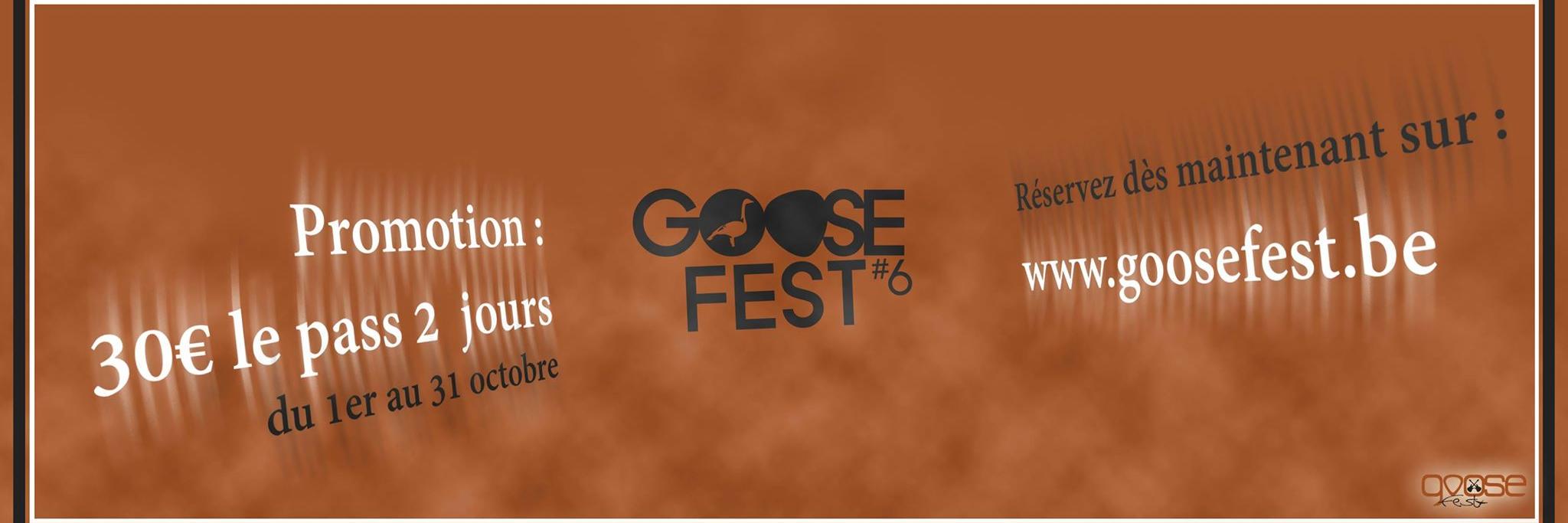 thegoosefest's profile banner image