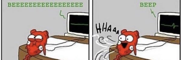 thryceo Profile Banner