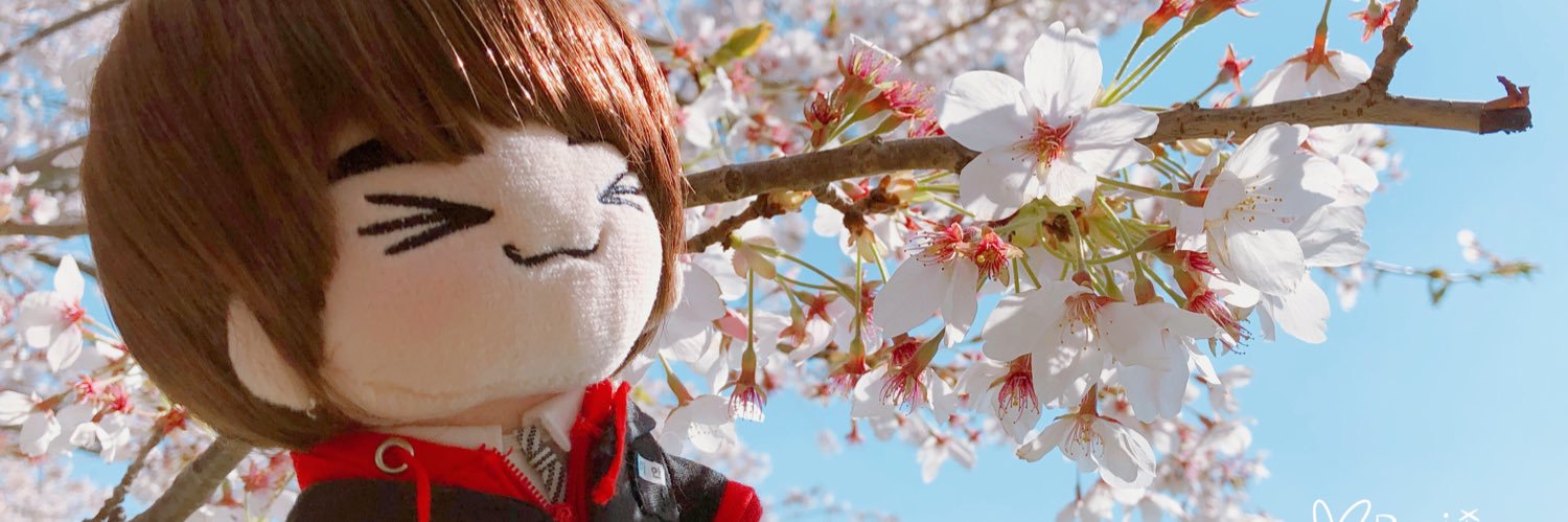 pepixixi's profile banner image