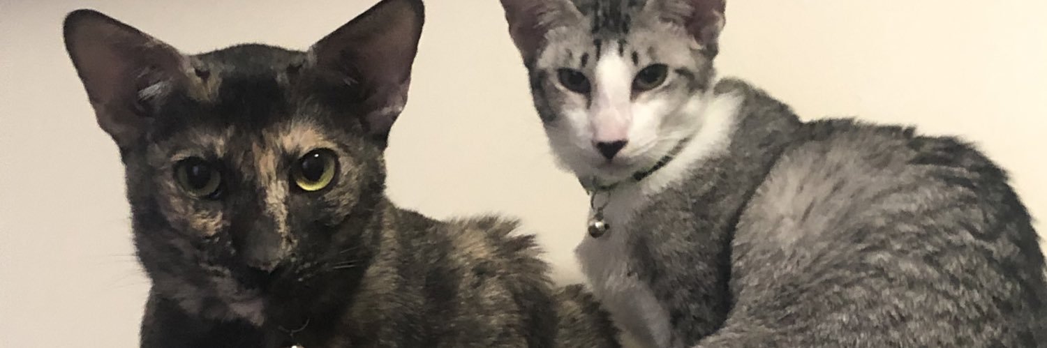 TheMonnster's profile banner image