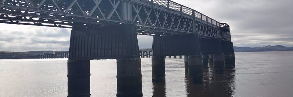 Dr Mandy Moffat banner