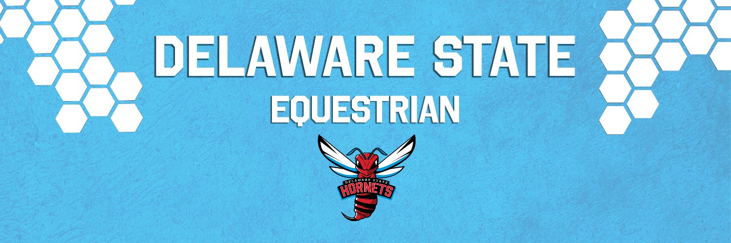 DSUEquestrian's profile banner image