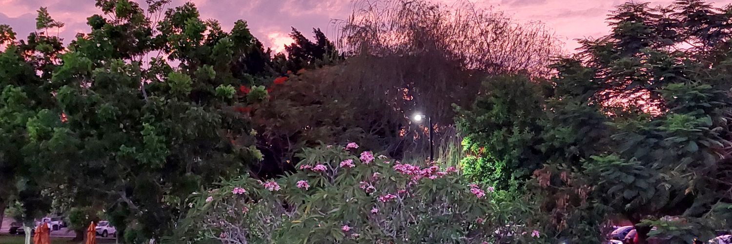 Msabido15's profile banner image