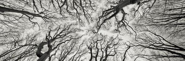 MrJanesMath Profile Banner