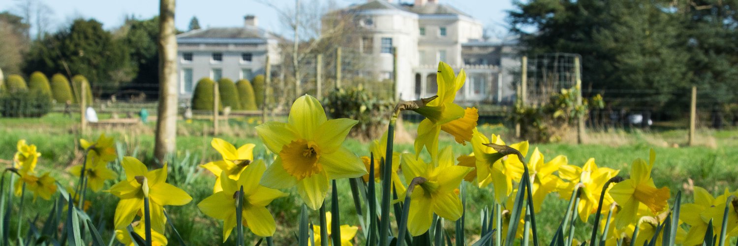 shugboroughNT's profile banner image