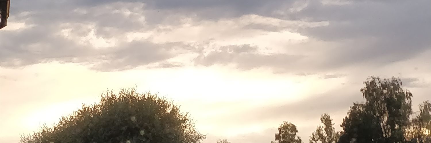 tokenboken's profile banner image