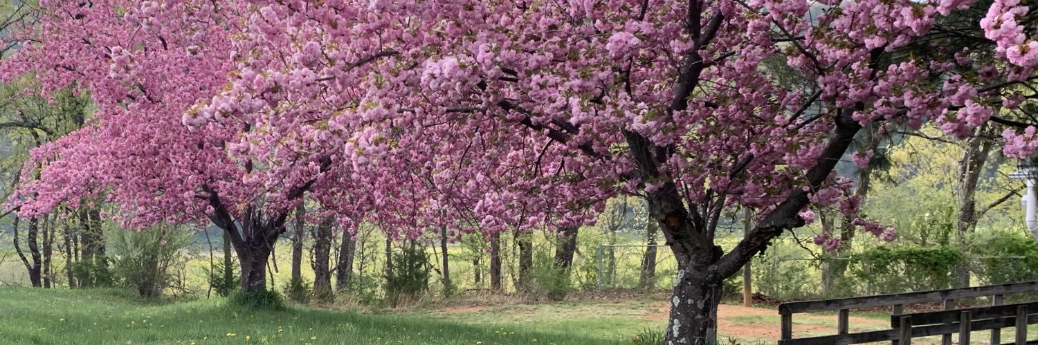 HampshireReview's profile banner image