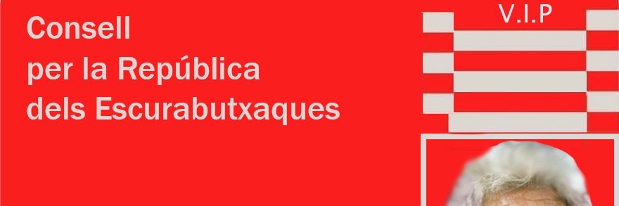 xisco_cat's profile banner image