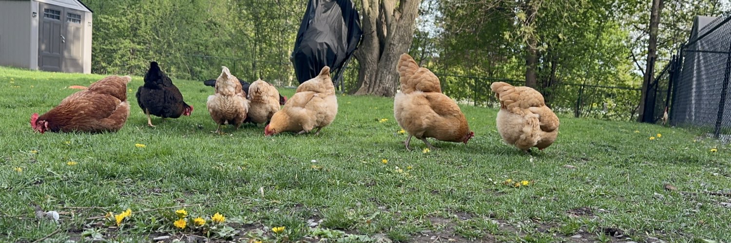 TheMotherClucka's profile banner image