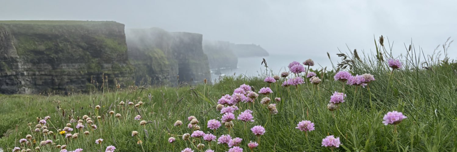 Megan Eckstein banner