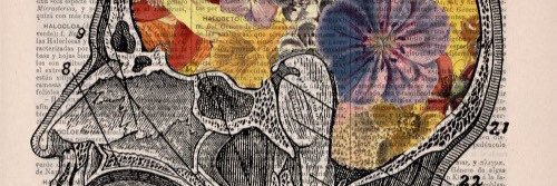 Psisecaba's profile banner image
