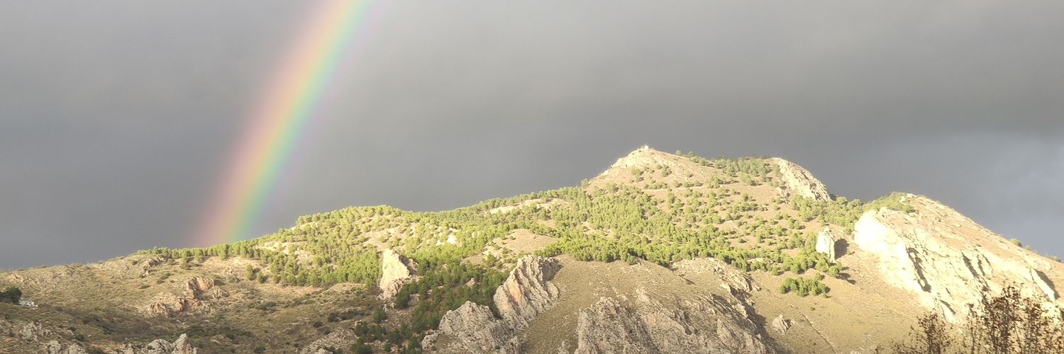 antonioptfp's profile banner image