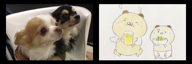 shingo_ham's profile banner image