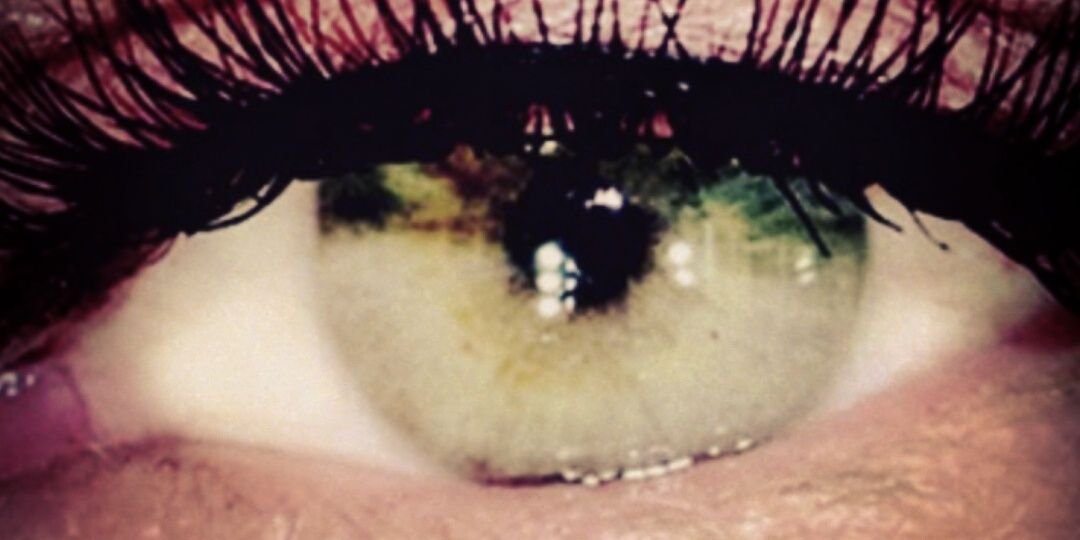 pollitovir's profile banner image