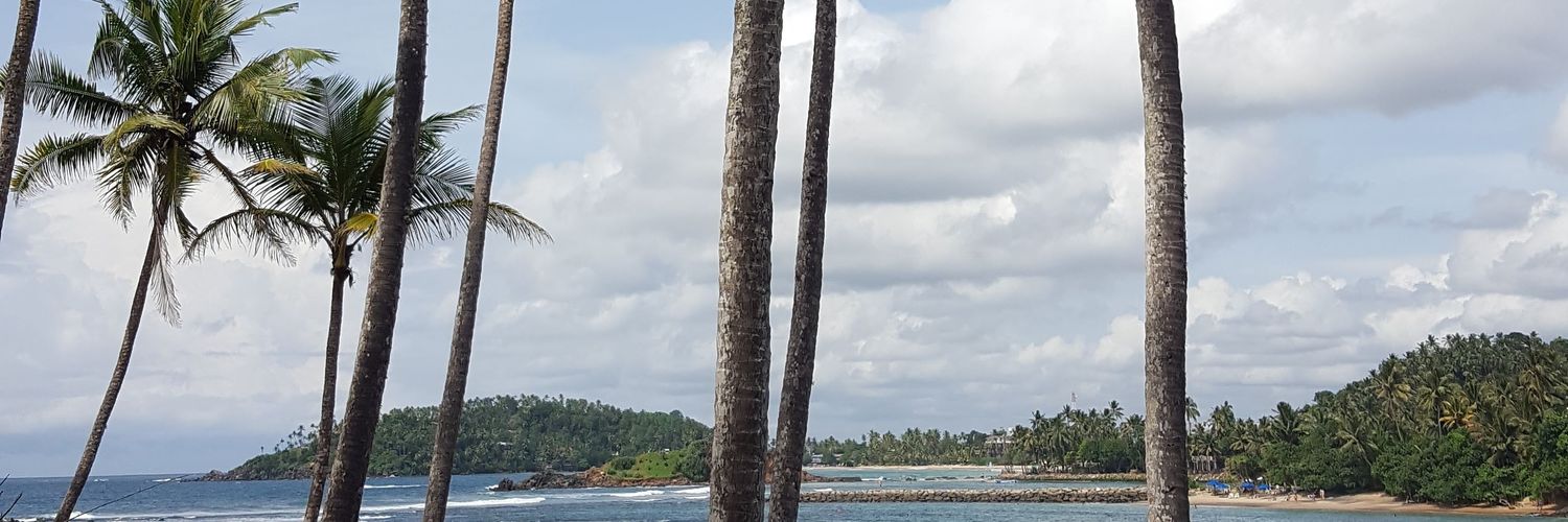 Alberto Gibert banner