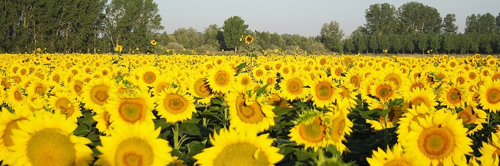 Eric Johnson 🇺🇸🇺🇦 banner