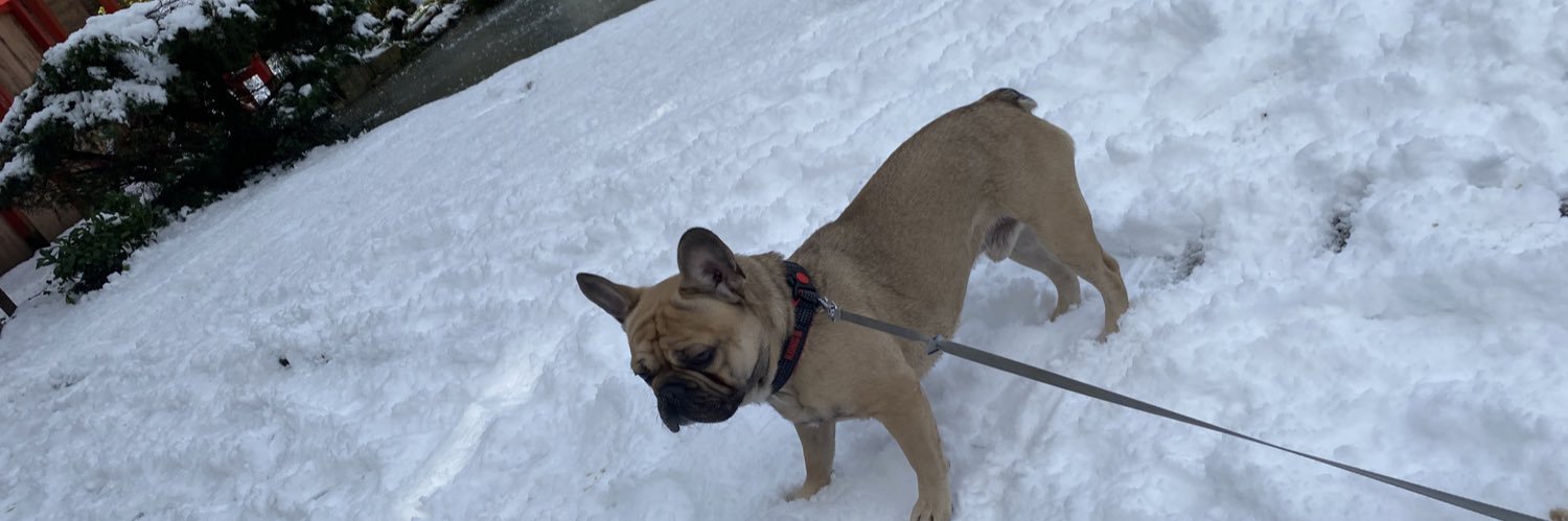 Richard Hamilton banner