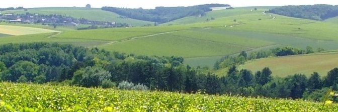 Christophe D. banner