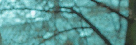 twin0li's profile banner image