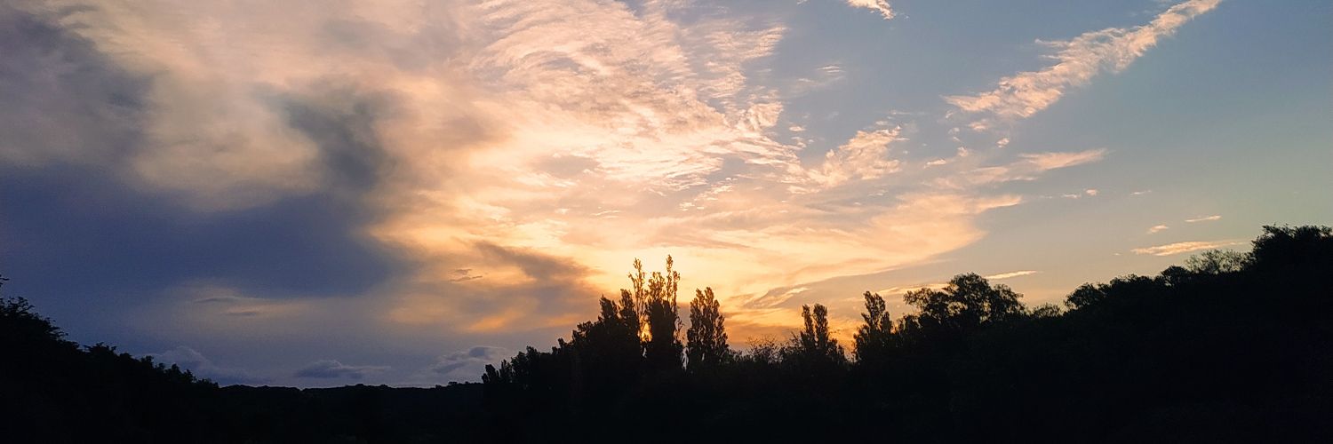 LuchiBridges's profile banner image