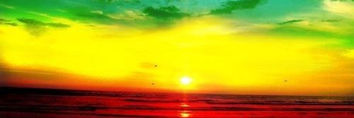Malajabibi3's profile banner image