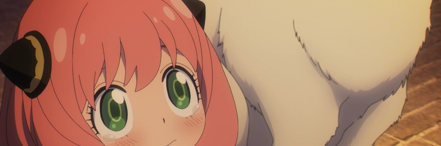 urzatulida's profile banner image