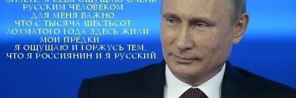 VorobevDmitry's profile banner image