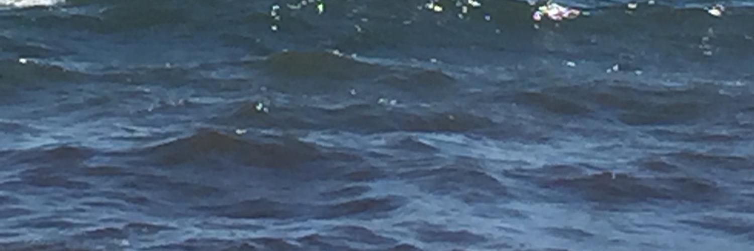 DebraDaley's profile banner image