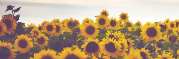kylee_hannahs's profile banner image