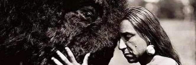 cicuellar's profile banner image
