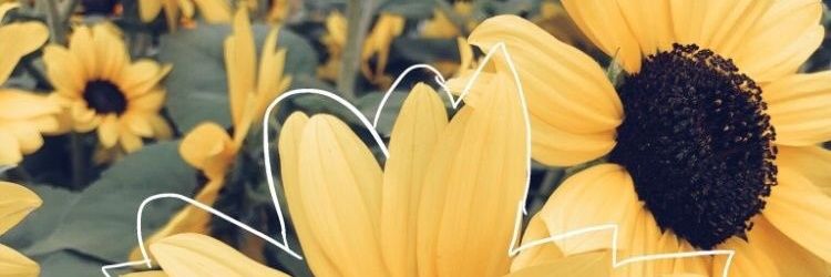 sarascrd's profile banner image