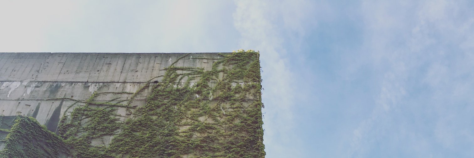 Carst van der Molen banner