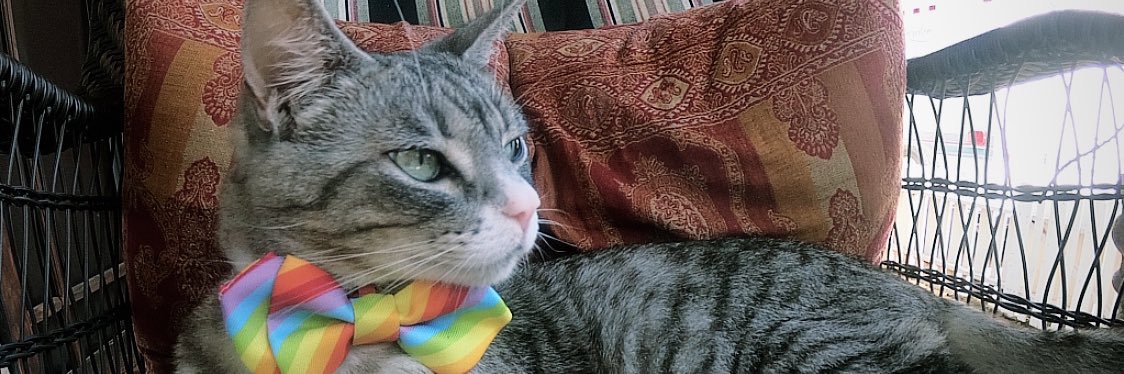 Jay🧘‍♀️ banner