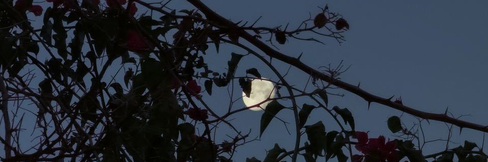 7lo611's profile banner image