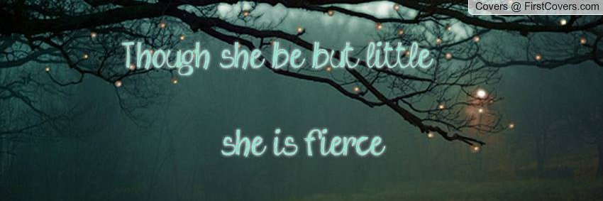 StefaniPegram's profile banner image