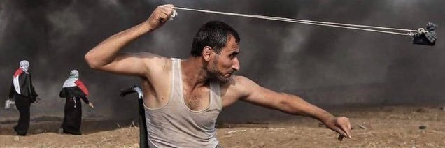 Llorenç 🐚🌻🔻🌻🔻🌻🔻🌻🔻🌻💜 🍉 banner