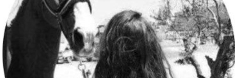 bsmah_h2's profile banner image