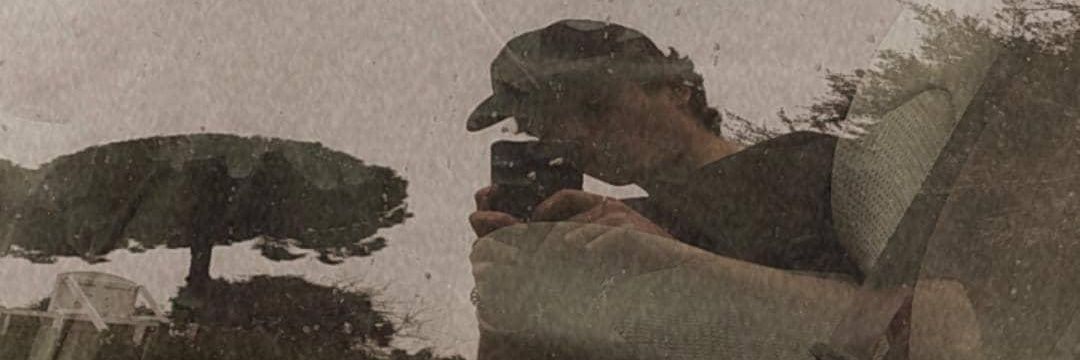 collpetit's profile banner image