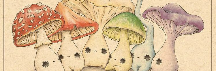 SusanVacas's profile banner image