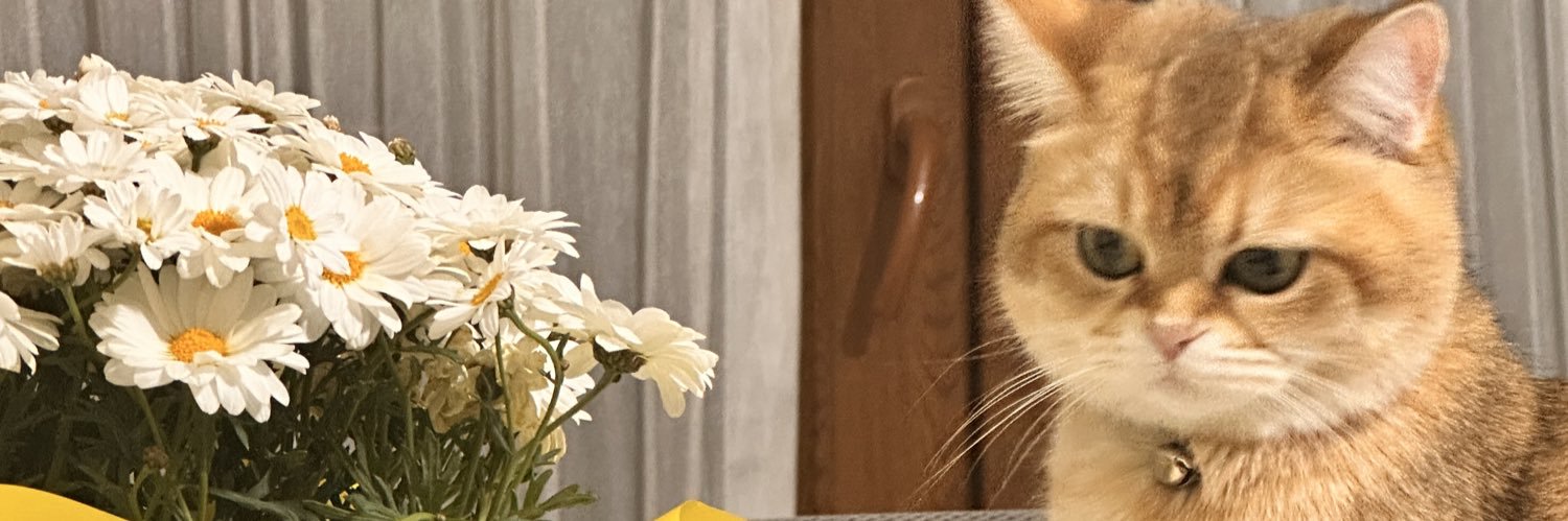 basakbahar's profile banner image