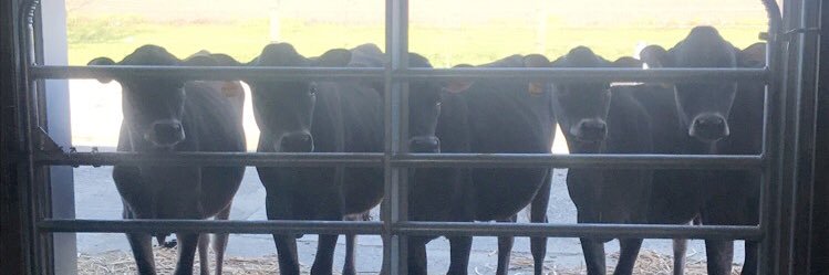 Micah Matlock banner