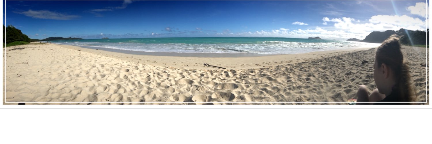 desilvajames's profile banner image