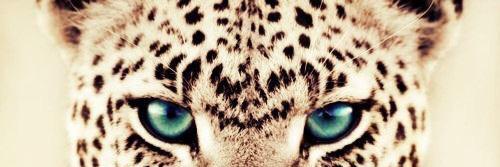 Remedios Hormigo ❤ banner