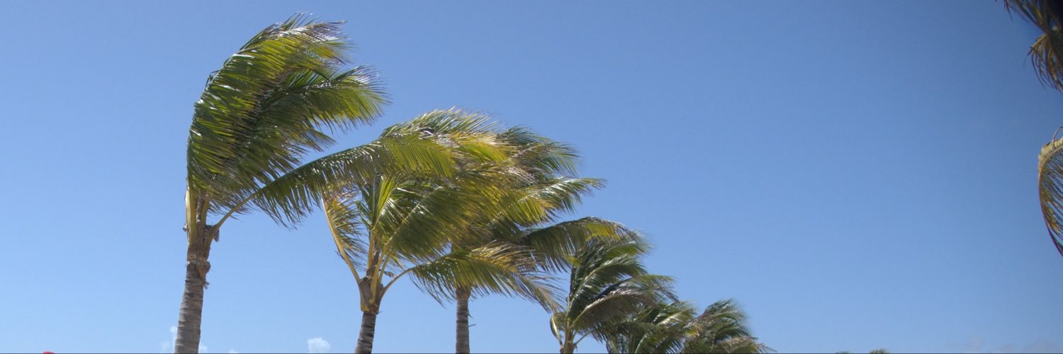 TheColdMedina's profile banner image